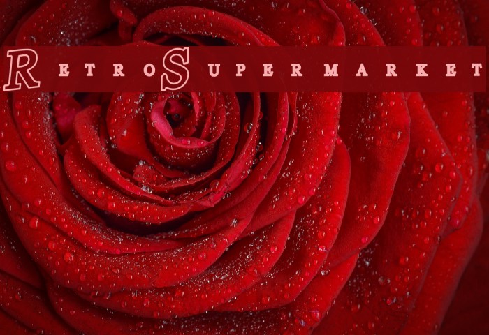 Retro-Supermarket Font examples