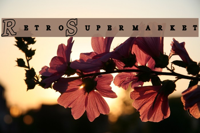Retro-Supermarket Font examples