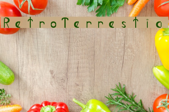 Retro-Terrestial Font examples