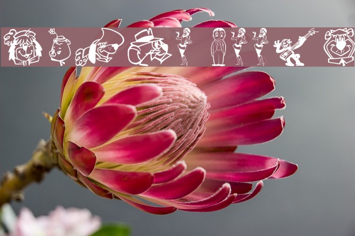 Retro Toons Example 2