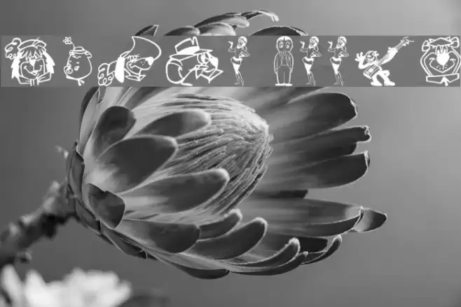 Retro Toons Font examples