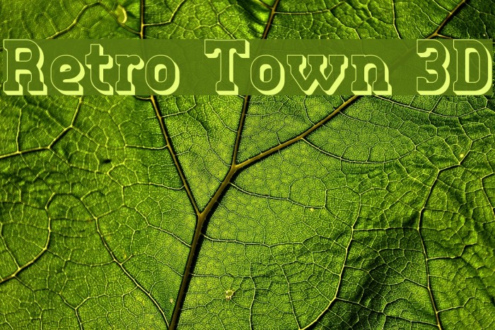 Retro Town 3D Font examples