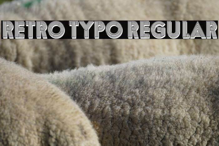 Retro Typo Regular Example 1