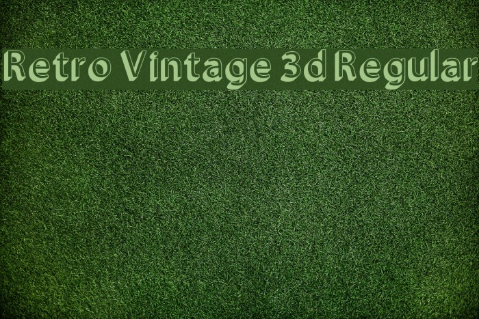 Retro Vintage 3d Regular Font examples