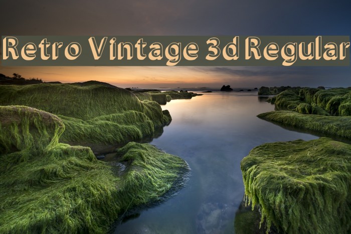 Retro Vintage 3d Regular Font examples