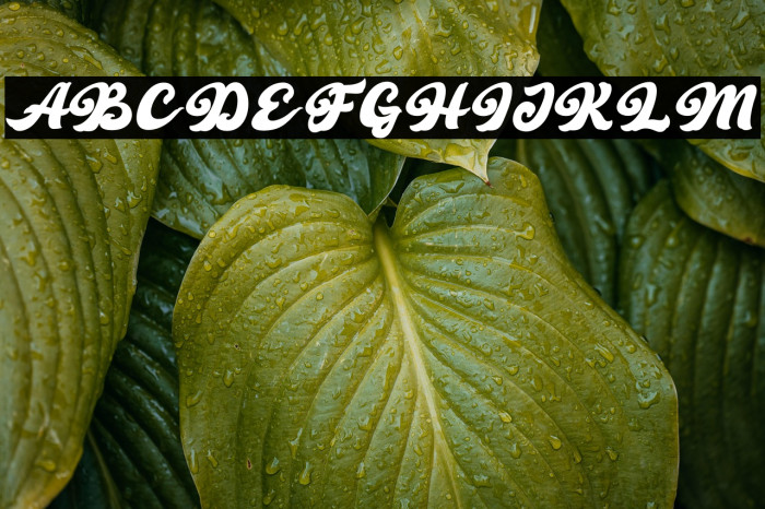 Retro Young Example 1