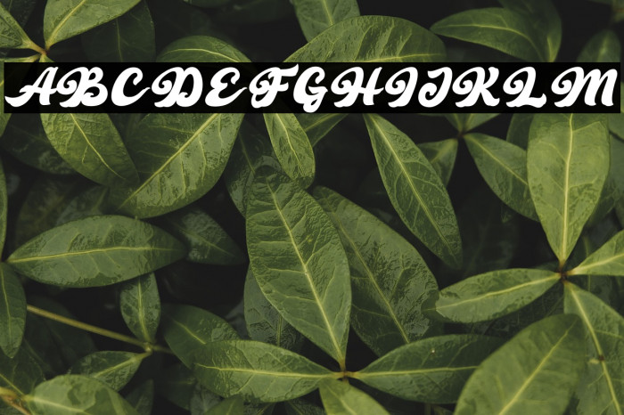 Retro Young Example 2