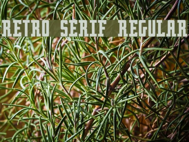 Retro serif Regular Example 1