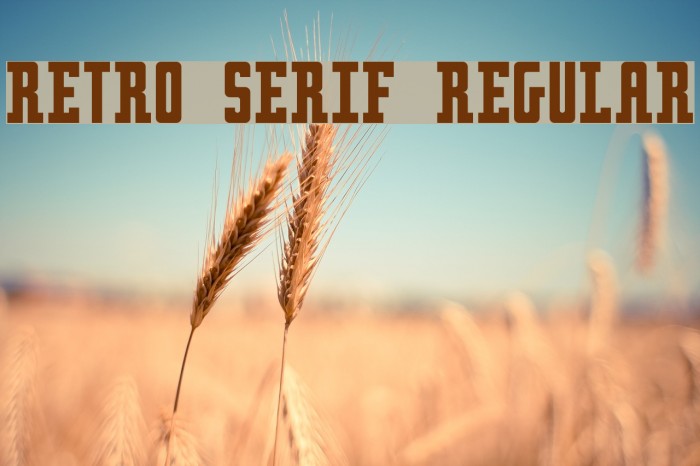 Retro serif Regular Font examples