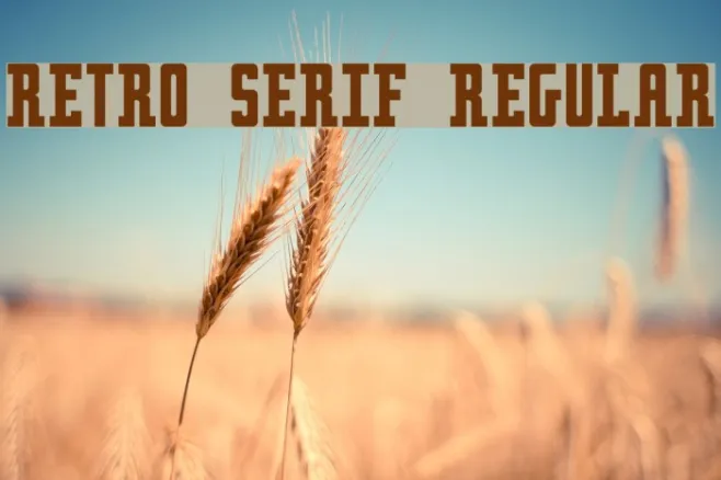 Retro serif Regular Example 3