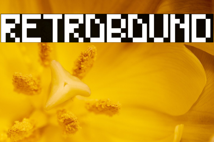 RetroBound Example 1