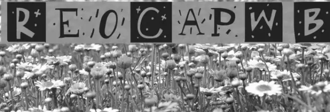 RetroCapsWB Font examples