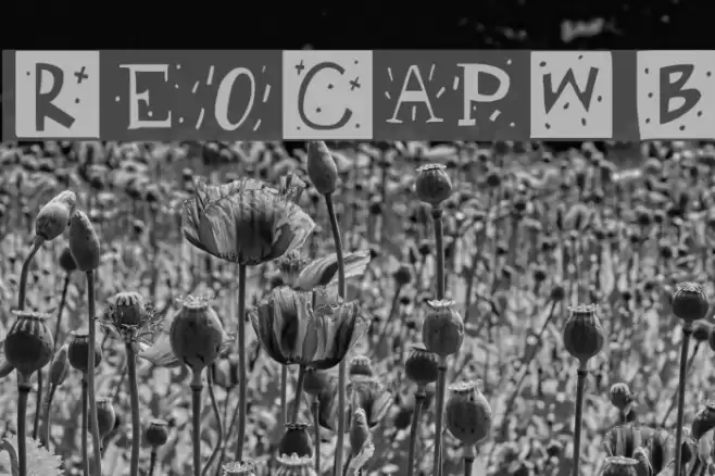 RetroCapsWB Font examples