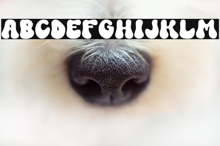 RetroComicsTrialVersion-Reg Fonte examples