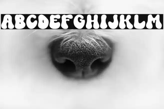 RetroComicsTrialVersion-Reg examples