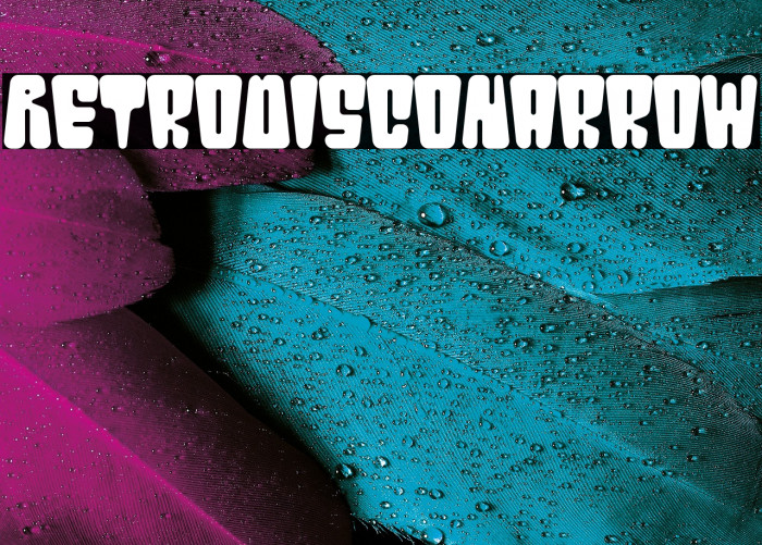 RetroDisco-Narrow Example 2