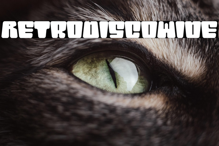 RetroDisco-Wide Example 1