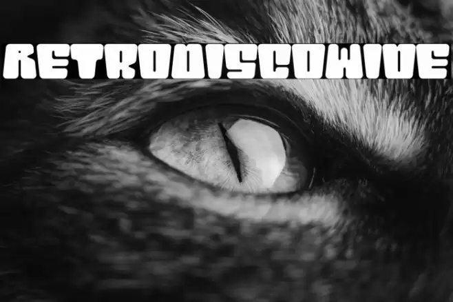 RetroDisco-Wide Font examples