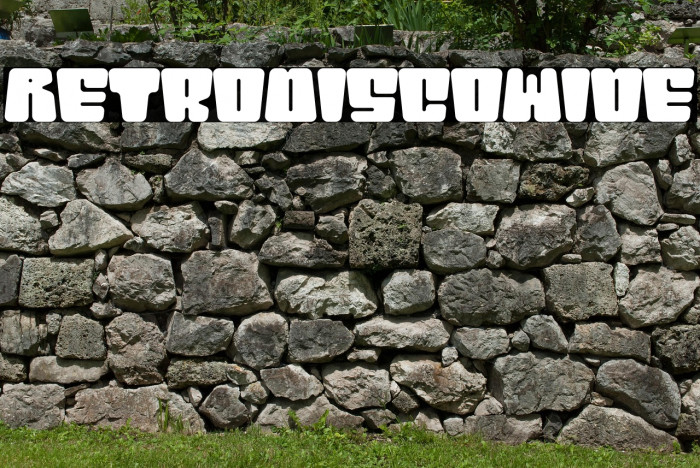 RetroDisco-Wide Example 2