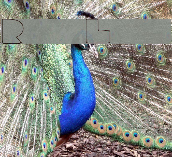 RetroLights Example 2