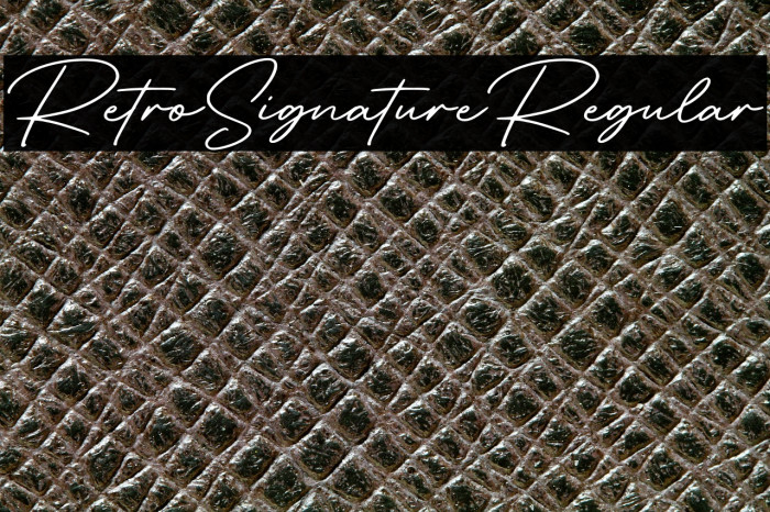 RetroSignatureRegular Example 1
