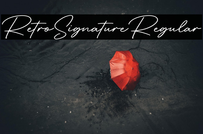 RetroSignatureRegular Example 2