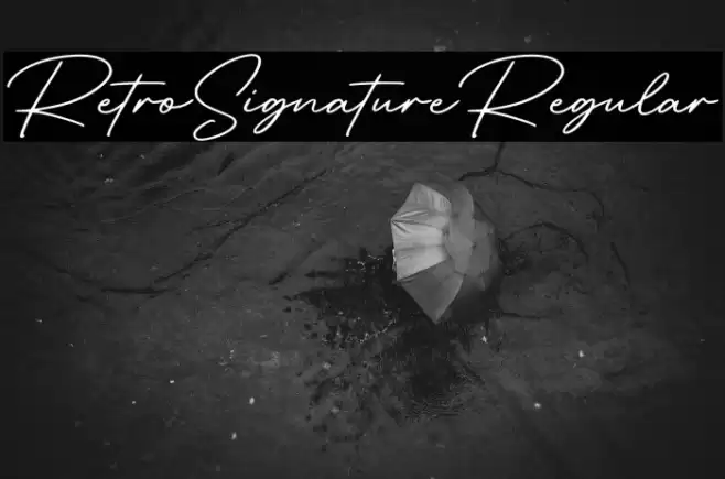 RetroSignatureRegular Font examples
