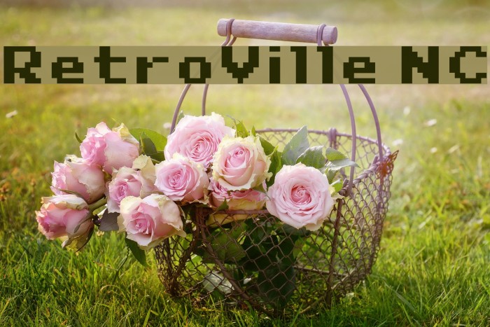 RetroVille NC Font examples