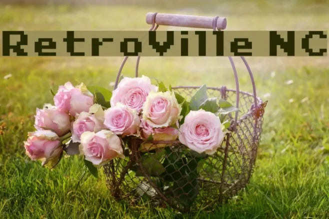 RetroVille NC Example 2