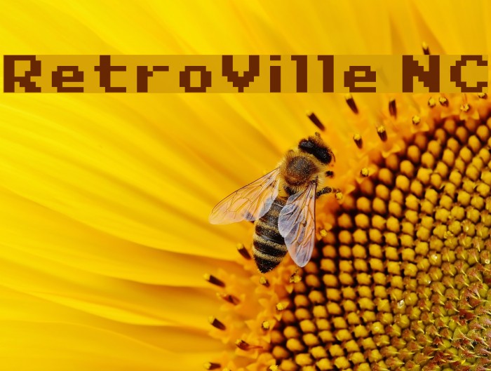 RetroVille NC Font examples
