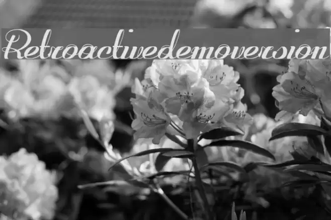 Retroactive_demo-version Font examples