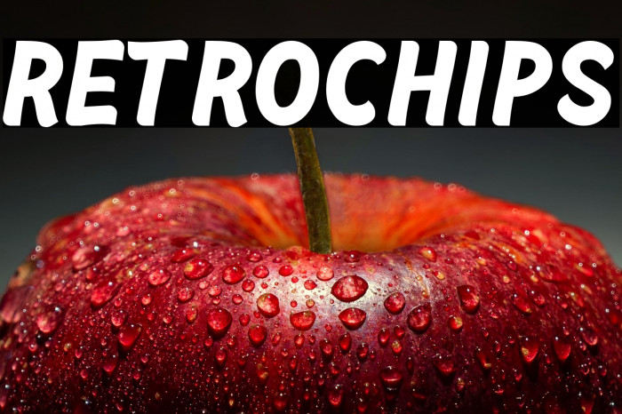 Retrochips Example 2