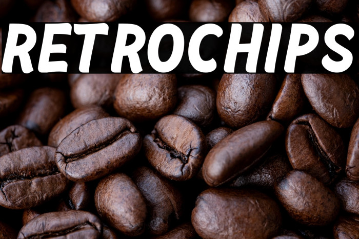 Retrochips Example 3