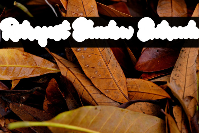 Retrofest Shadow Extrude Example 2