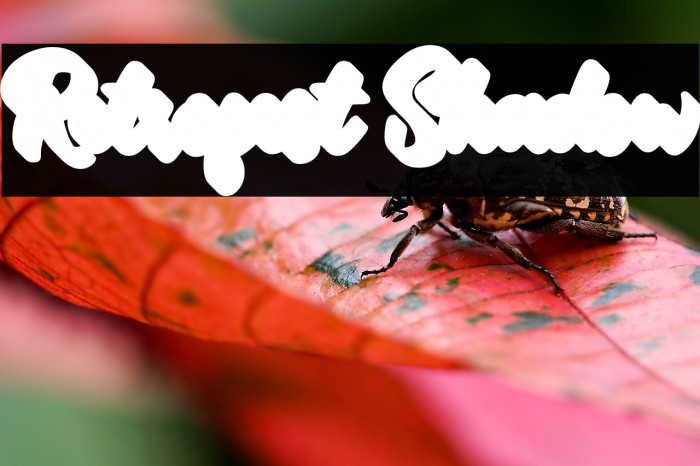 Retrofest Shadow Example 3