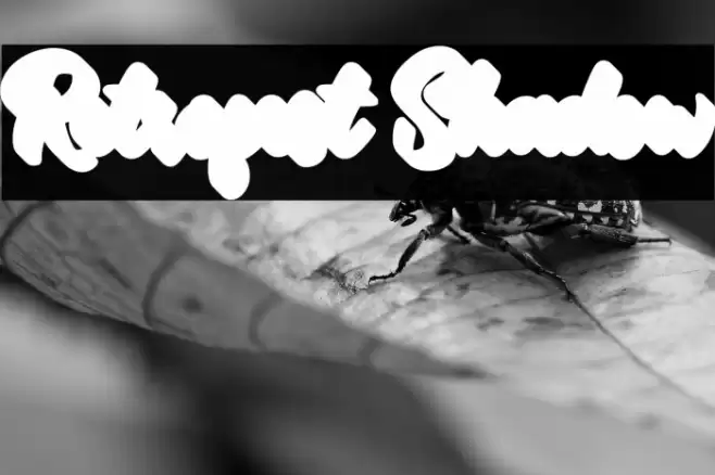 Retrofest Shadow Font examples