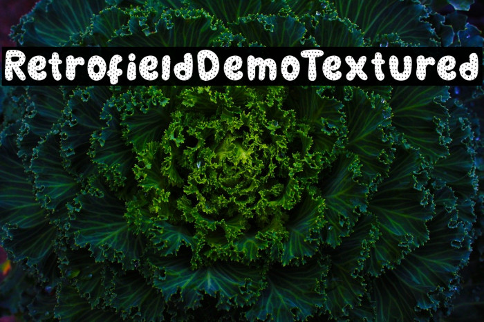 RetrofieldDemoTextured Font examples
