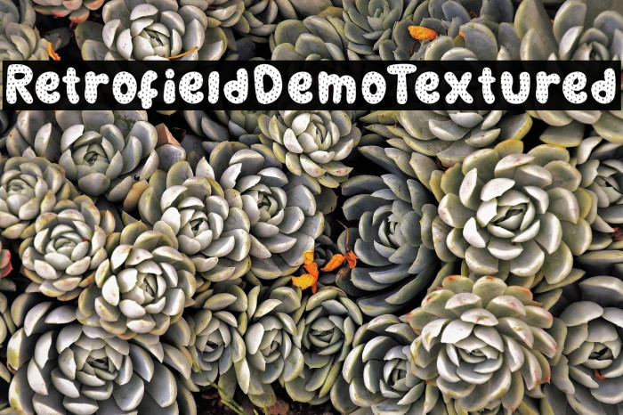 RetrofieldDemoTextured Font examples