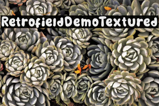 RetrofieldDemoTextured Example 3