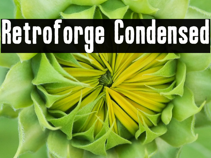 Retroforge Condensed Example 1