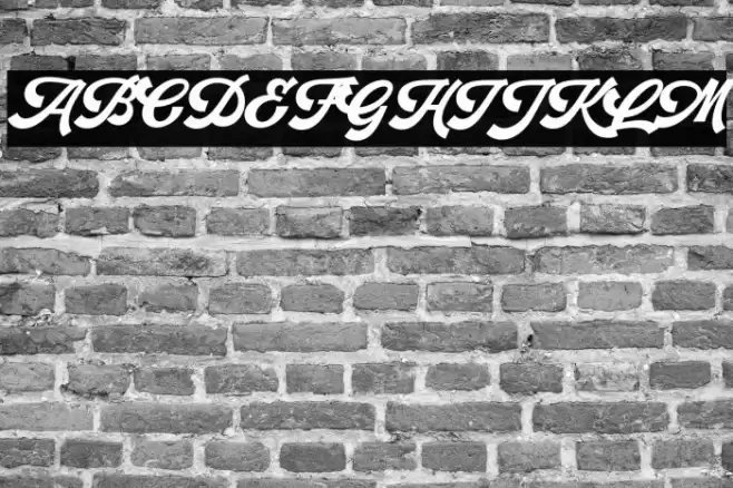 RetrofunkScriptPersonalUse Font examples