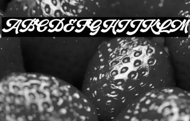 RetrofunkScriptPersonalUse Font examples