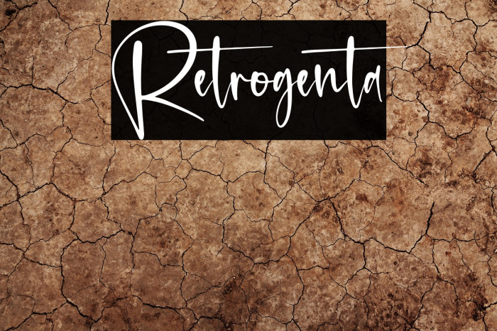 Retrogenta Example 3