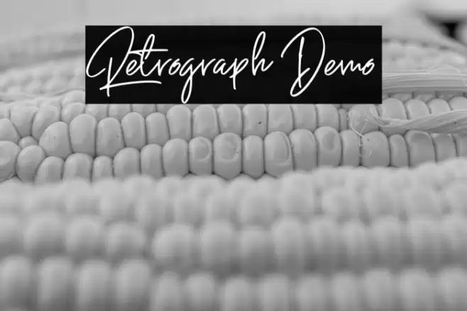 Retrograph Demo Fuentes examples