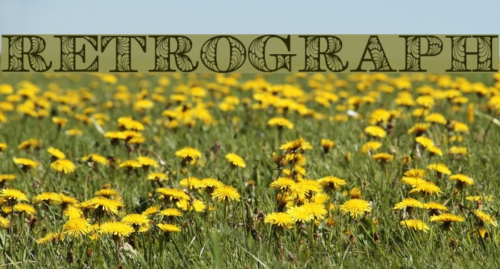 Retrograph Шрифта examples