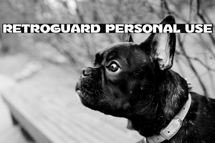 Retroguard Personal Use Example 1