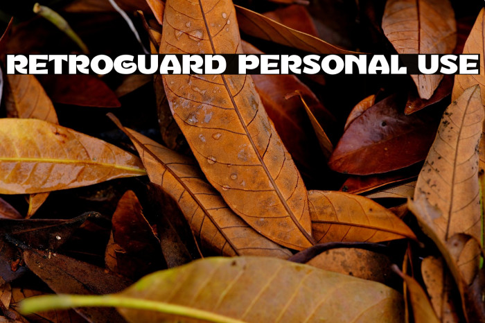 Retroguard Personal Use Example 2