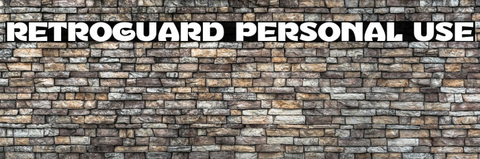 Retroguard Personal Use Example 3