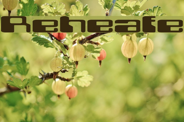 Retroheavyfuture Caratteri examples