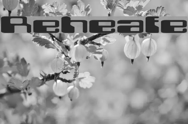 Retroheavyfuture Caratteri examples